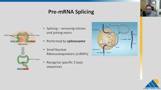 BIOL201 Ch154  RNA Processing in Eukaryotes [upl. by Llemmart]