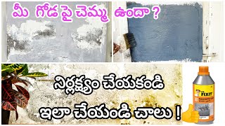 Wall dampness treatment  how to repair wall damage  wall waterproofing [upl. by Abner]