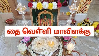 THAI VELLI MAVILAKU DEEPAMLAKSHMIRUCHINALABAGAM  MAVILAKU MAVILAKU CELEBRATION VLOG [upl. by Flanders]