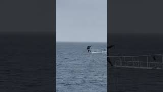 Harpooning swordfish off Catalina Island old school [upl. by Oinotnaesoj564]