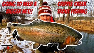 Going To Need A Bigger Net Cripple Creek Trout Fishing [upl. by Adnilreb]