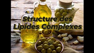 STRUCTURE DES LIPIDES COMPLEXES [upl. by Eelatan]