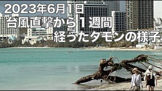 グアム スーパー台風直撃から1週間経ったタモンの被害状況 [upl. by Dyrrej]