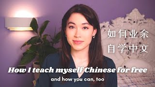 How to Learn Fluent Chinese Exact Plan for PartTime Study [upl. by Tiat]