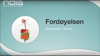 Fordøyelsen [upl. by Loris874]