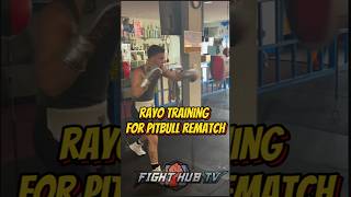 Rayo Valenzuela LOCKED IN for Pitbull Rematch [upl. by Auhsaj19]