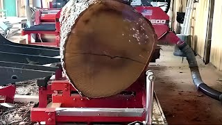 🚩Big Industrial WoodMizer WM4500 Sawmill in Action Woodworking [upl. by Ayotas]