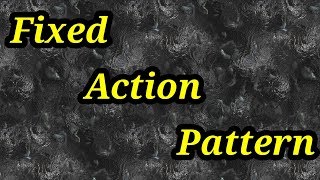 Fixed action pattern behavior [upl. by Ashbaugh]