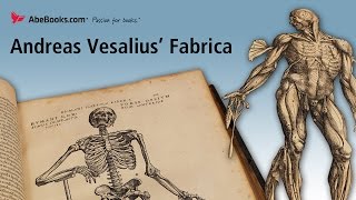 Andreas Vesalius De Humani Corporis Fabrica On The Fabric of the Human Body or The Fabrica [upl. by Marrin]