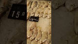 Dubai fish market food amazing travel traveltodubai [upl. by Elo]