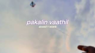 parava  pakalin vaathil  s l o w e d  r e v e r b   lilvibe [upl. by Yrekcaz969]