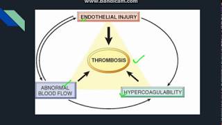 Thrombosis [upl. by Assilim693]