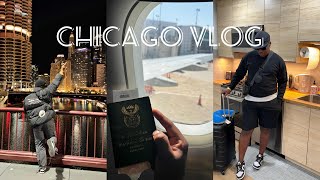 Exploring Chicago at Night Bus Tour Rooftop Views South African Vlogger [upl. by Ecinad844]