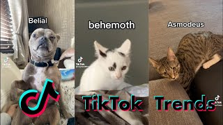 Belial Behemoth Beelzebub Asmodeus Satanus Lucifer is a tiktok trend you dont want to miss [upl. by Nerrual536]