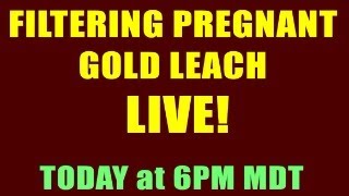 FILTERING GOLD LEACH LIVE making it look easy [upl. by Ybbob817]