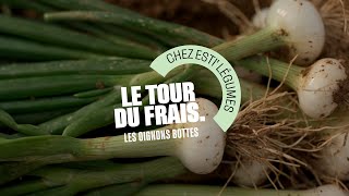 Grand Frais  Le Tour du Frais avec Nicolas producteur d’oignons bottes [upl. by Pilar]