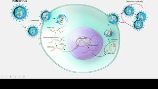 EXANIII  Microbiología  Curso Gratuito de Premedicina [upl. by Zina696]