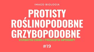 Protisty roślinopodobne i grzybopodobne wraz z ich systematyką [upl. by Netsyrk]