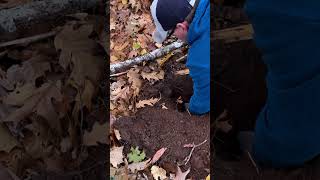 1891 Canadian Large Cent  Nokta Legend Metal Detecting metaldetecting nokta [upl. by Nettie800]