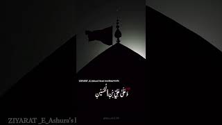 Ziyarat e Ashura [upl. by Neau]