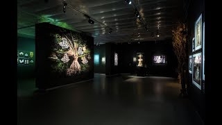 Wonderland at Fotografiska Museum Stockholm 2019 [upl. by Anahpos]