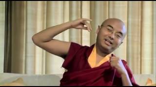 What Meditation Really Is  Mingyur Rinpoche [upl. by Ephrem]