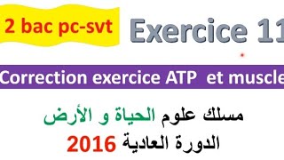 2 bac svt pc CORRECTION exercice 11 svt  ATP et muscle normale PC 2022 [upl. by Anaek]