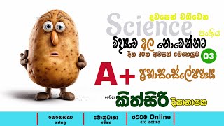 දවස් 30න් විද්‍යාවට A එකක්  Night Time Boosters 03  Dr Kithsiri Dissanayaka [upl. by Akiemehs]