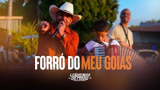 Leãozinho do Forró  Forró do Meu Goiás  Vídeo Oficial [upl. by Neesay]