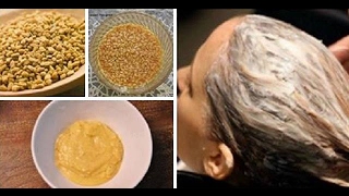 DIY Fenugreek Seeds Hair Mask For ThinDry and Damaged Hair  CHATURYABLOGGER [upl. by Enaerb]