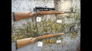 First Look Remington 783 Walnut Edition Rifle [upl. by Siouxie]