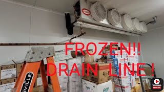 Supermarket Refrigeration  How To DeiceRepair Walkin Freezer Drain Line [upl. by Llednohs]