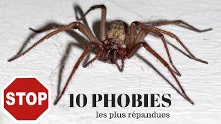 Comment traiter vos phobies [upl. by Hermione]