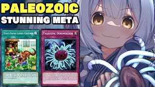 PALEOZOIC BEATING EVERY META DECK  HighRank Paleozoic Stun Replays Master Duel OCT 2024 [upl. by Eedna]