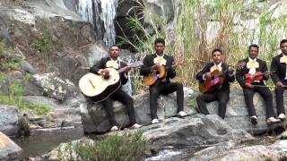 Mariachi Nueva Creacion vol3 Bendice a tu pueblo Señor [upl. by Marget966]