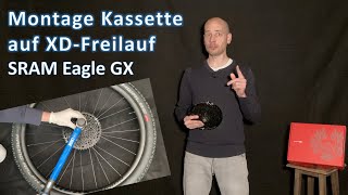 Kassette am FahrradMountainbike wechseln  XDFreilauf  SRAM Eagle GX Kassette [upl. by Idonah473]