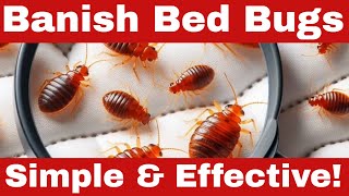 How to Eradicate Bed Bugs Fast  Proven Methods to Get Rid of Bed Bugs [upl. by Karilynn943]