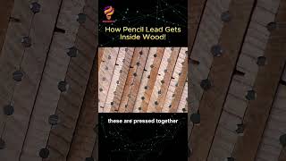 How Pencil Lead Gets Inside Wood pencillead graphite [upl. by Breed]