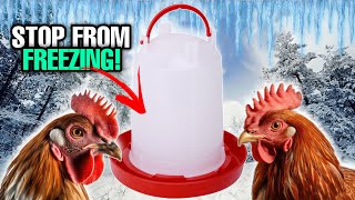 Winter Chicken Water  On AND Off Grid Solutions [upl. by Benito]