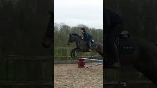 Elphick Event Ponies let me jump her horse 👀 [upl. by Holsworth]