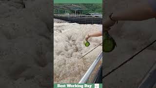 Best working day 1699 Wastewater treatment process with defoamer [upl. by Ayouqat676]