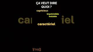 Être CARACTÉRIEL Vocabulaire en français facile learnfrench [upl. by Crosley]