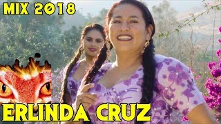 ERLINDA CRUZ Y LAS CONSENTIDA  MIX 2018 lo mejor [upl. by Ailedua]