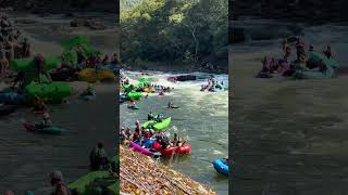 Gauley Fest 2024 Carnage at Sweet’s whitewater rafting gauley westvirginia [upl. by Miner129]