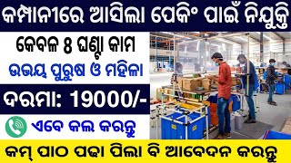 Odisha company Job 2024  Flipkart Packing Company job 2024  10th Pass Odisha Company job Packaging [upl. by Uttasta201]