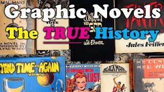 Graphic Novels  The REAL History [upl. by Vish]