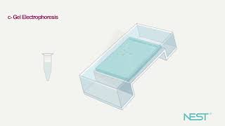 Lab Reagent Loading Buffer [upl. by Homovec27]