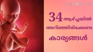 What to except in 34 week pregnancy in malayalam [upl. by Bridge]