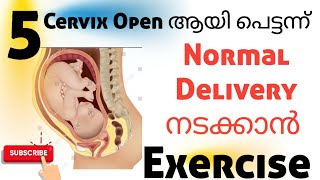 Normal Delivery Cervix Open easy exercise Malayalam pregnancyexercise [upl. by Low812]