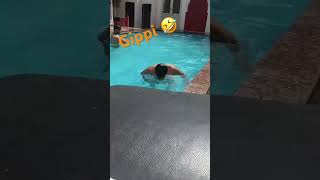 Mast mast do nain 😂😂 funnymemes bollywood song comedyvideos gippi love funny newsong [upl. by Tate337]